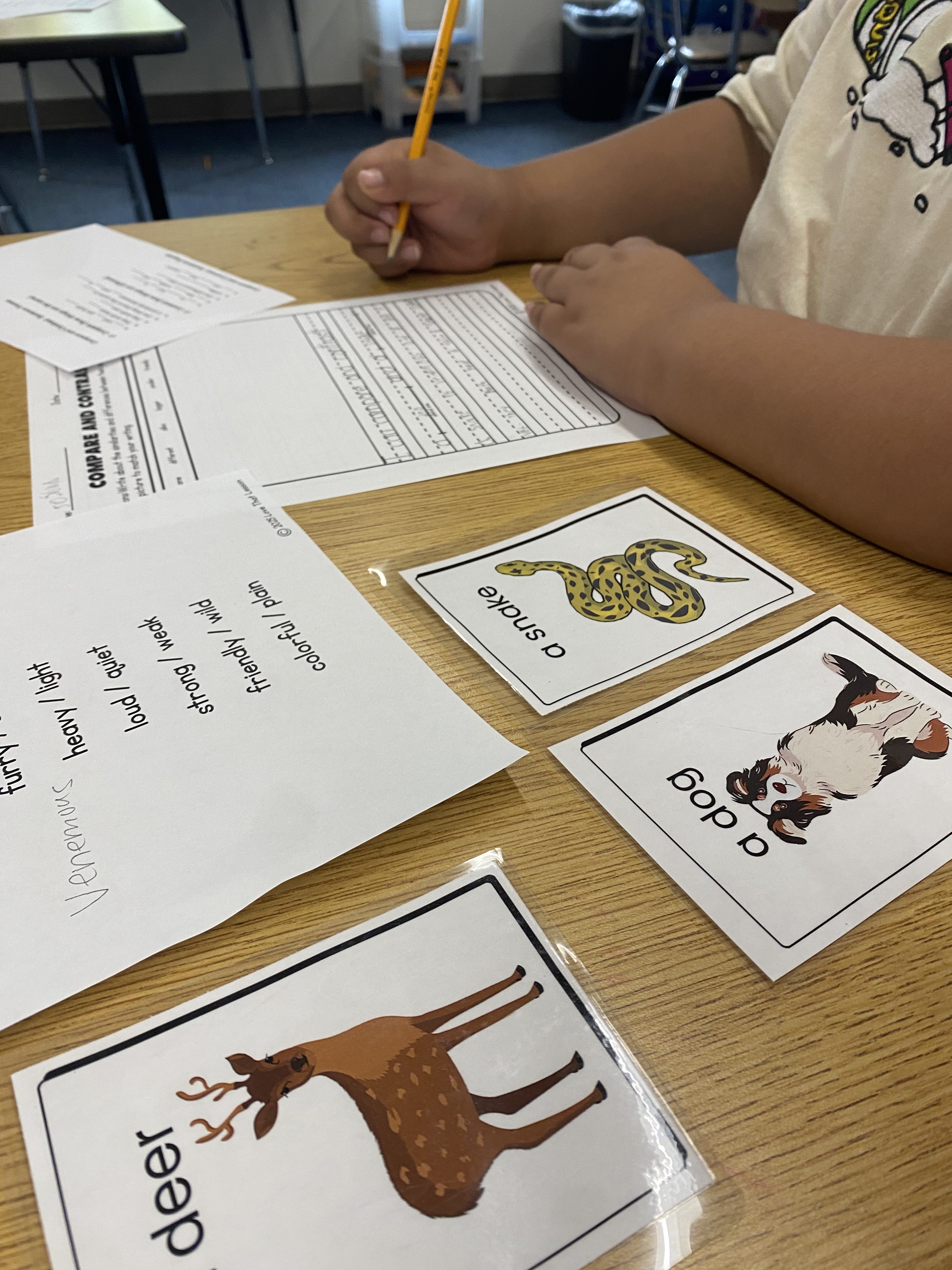 Vocabulary and the Print Rich Room